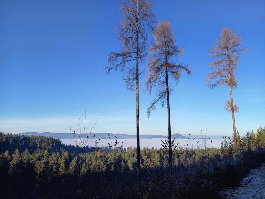 Haus Sonnenhang +Seeblick+Pool Reifnitz Εξωτερικό φωτογραφία